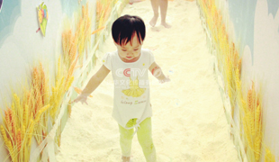 海賦長(zhǎng)興面粉王國